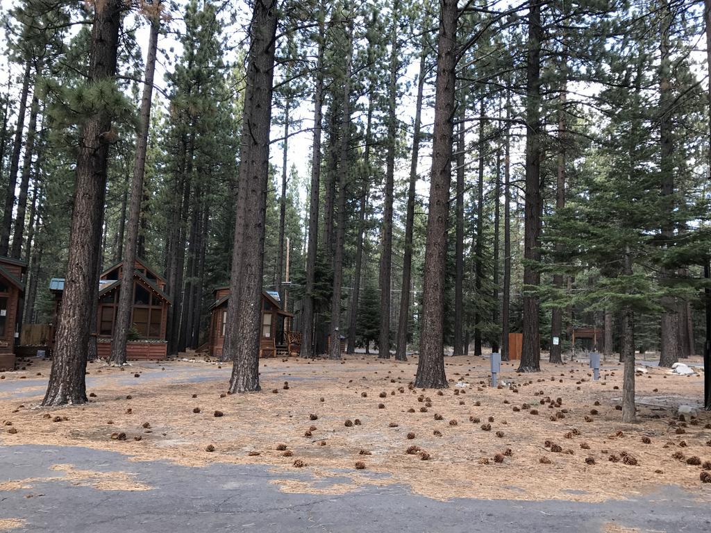 Bear Crossing South Lake Tahoe Exterior photo