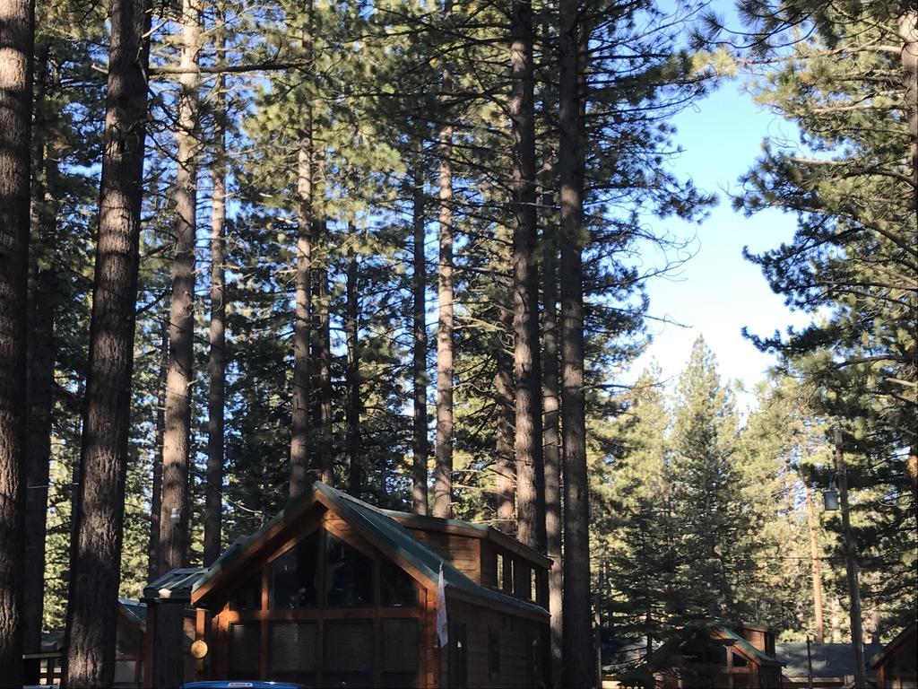 Bear Crossing South Lake Tahoe Exterior photo